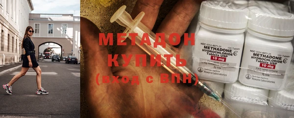 шишки Ельня
